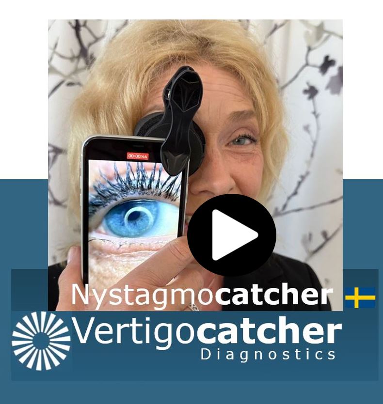 Play Vertigocatcher film